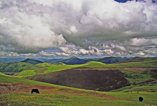 photo of two of yak grazing on grassland in eastern tibet, Kham, china, with grasslands, mountains and cloudy sky in background,  stylized and filtered to look like an oil painting