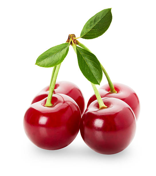 istock juicy cherries isolated on the white background 519594159