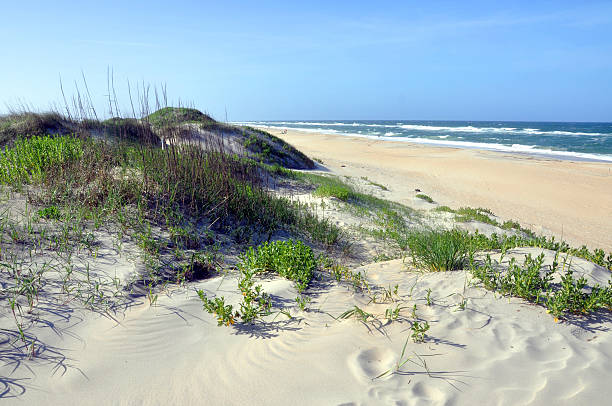 istock Sand Dune in Cape Hatteras, North Carolina 519594295