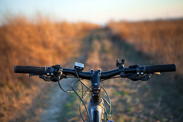 istock Mountain biking down hill descending fast on bicycle. View from 519610940