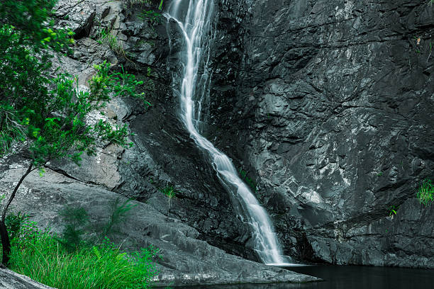 istock Cedar Creek Falls in Mount Tamborine 519611522
