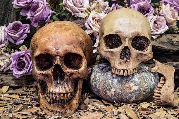 istock still life couple human skull with roses and timber 519614632