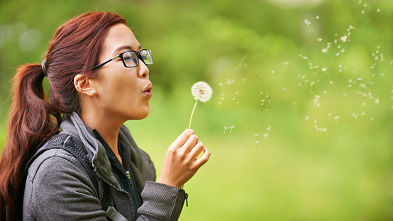 Cropped shot of a young woman holding a dandelion