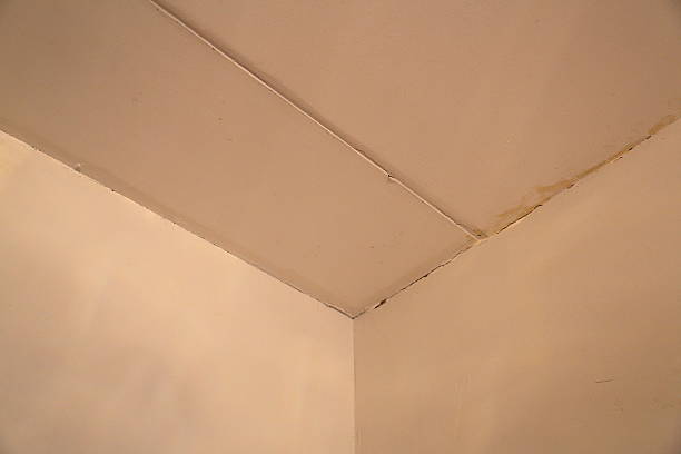 istock Walls and ceiling need repair 519617212