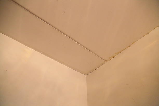 istock Walls and ceiling need repair 519617286