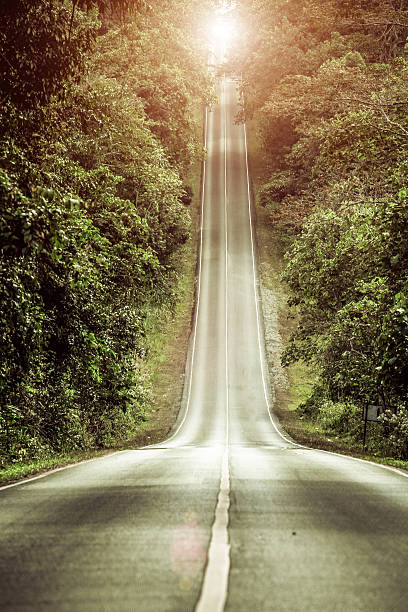 Slope mountain road with sunshine at Khao Yai, Thailand Slope mountain road with sunshine at Khao Yai, Thailand. midsection photos stock pictures, royalty-free photos & images
