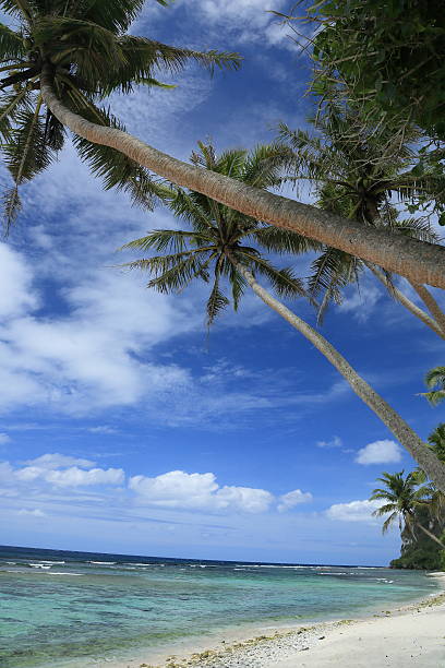 istock beautiful beach of guam 519617710
