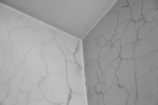 istock Walls and ceiling need repair 519617746