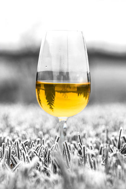 Glass of ice cider