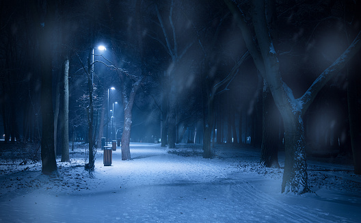Snowy path in the forest at night, detail