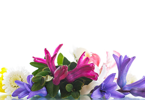 istock beautiful bouquet of spring flowers 519619100