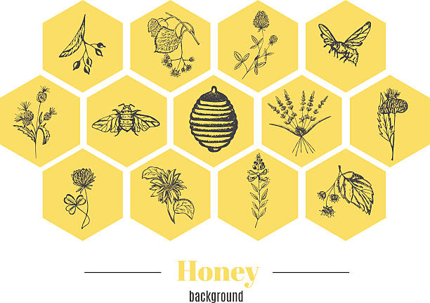 ilustrações de stock, clip art, desenhos animados e ícones de fundo de mel - apicultura ilustrações