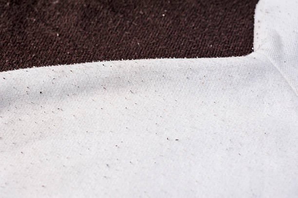 istock Lint balls/fuzz balls on fabric 519619782