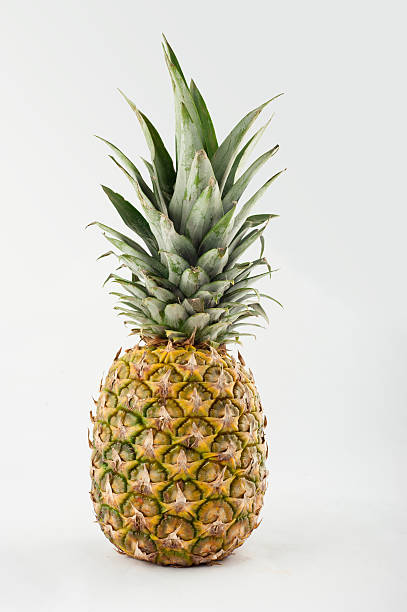 istock Fresh whole pineapple. Isolated on a white background. 519619803