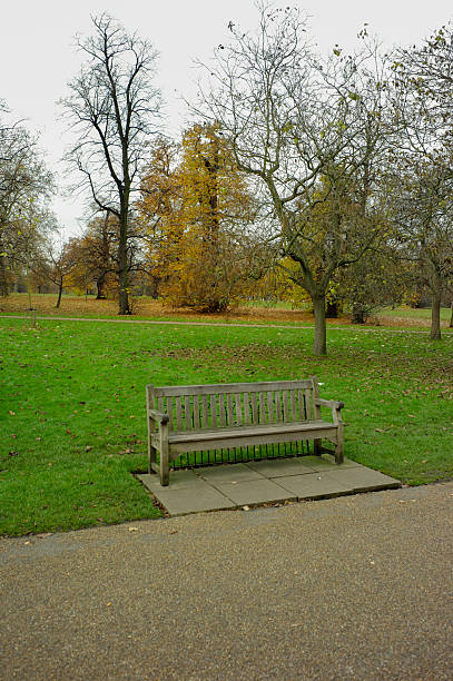Traditional wooden bench in a park