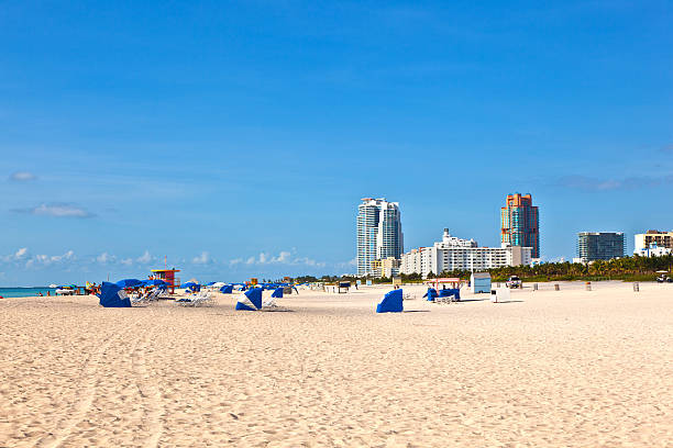 istock beachlife at the white beach in South Miami 519620875