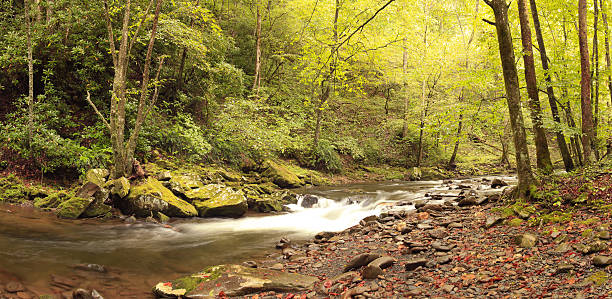 하늘에서 강 굉장해요 스모키 마운틴 국립 공원 - great smoky mountains great smoky mountains national park panoramic sunrise 뉴스 사진 이미지