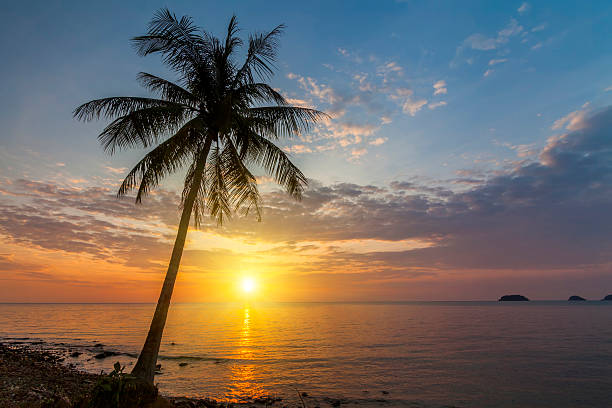 istock Romantic sunset over the beach. Koh Chang. Thailand. 519623706