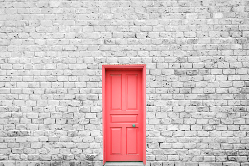 Red door on the monochrome wall