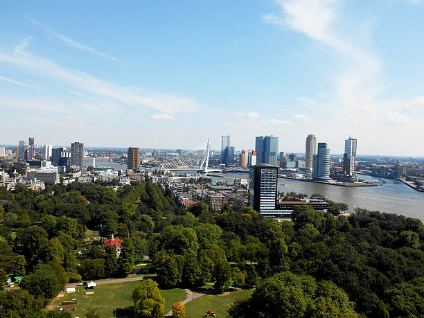 istock Rotterdam city, The Netherlands 519626353