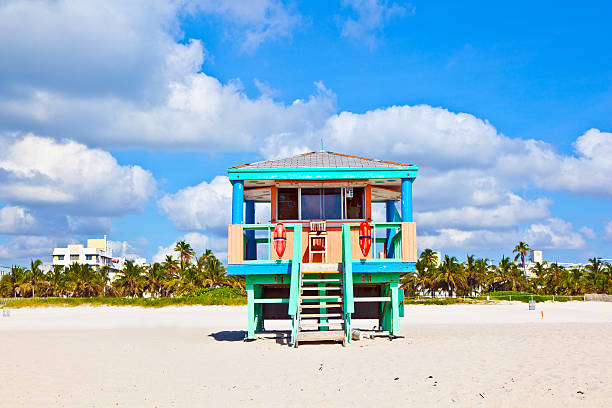 istock beachlife at the white beach in South Miami 519626867