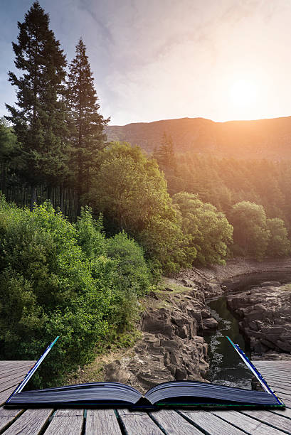 istock Beautiful landscape image of sunlight streaming through trees in 519642863