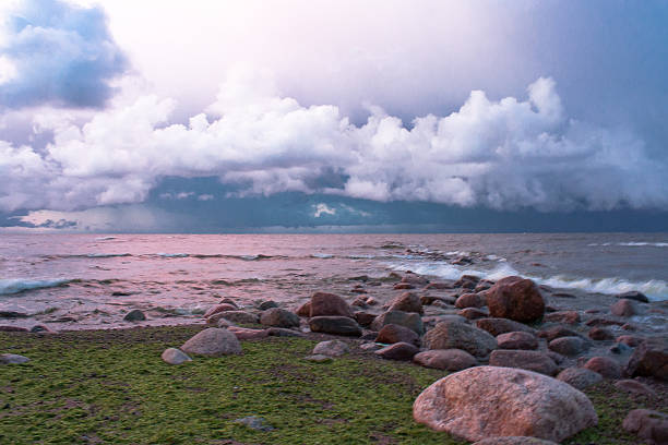 golfo da finlândia - рассвет - fotografias e filmes do acervo