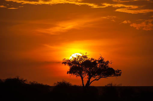 sunset sky in the savannah of africa