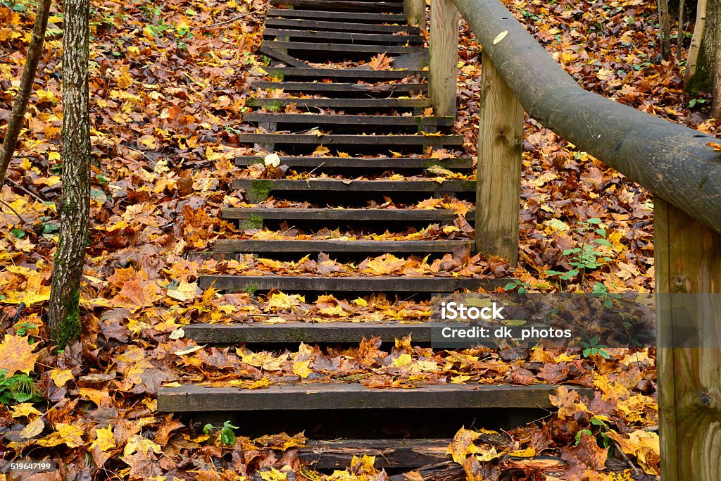 Old wooden stairs in the forest Photo of old stairs in the forest, autumn view. Nature photography. Taken in Sigulda. Autumn Stock Photo