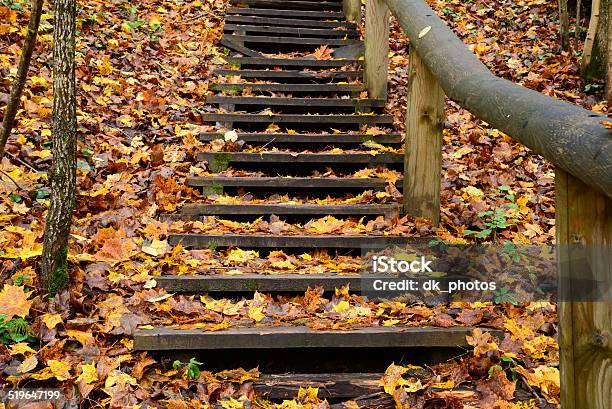 Old Wooden Stairs In The Forest Stock Photo - Download Image Now - Autumn, Autumn Leaf Color, Baltic Countries