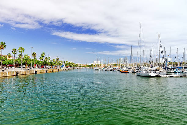 istock Panorama on Barcelona Seaport 519649025