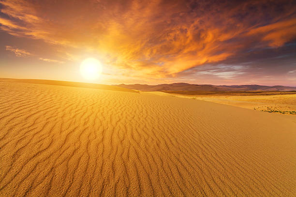 bela vista do deserto de gobi. mongólia. - sand river imagens e fotografias de stock