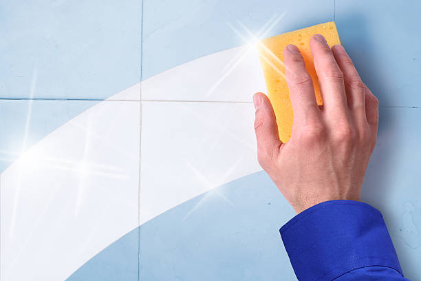 istock Concept of employee professional cleaning 519651502