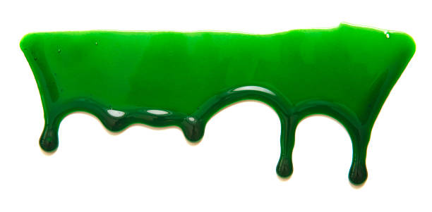 istock Drops of green paint on a white background 519651794
