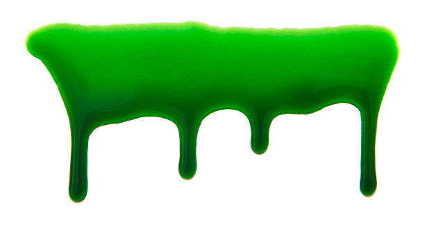 istock Drops of green paint on a white background 519651834