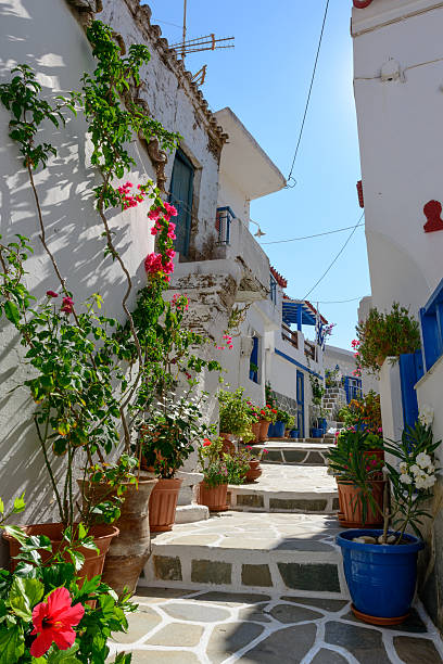 istock Stone slated alley with limewashed houses 519652562