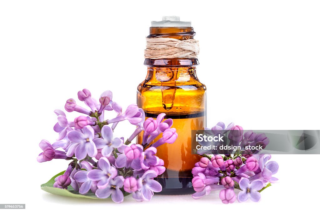 Lilac Essential Oil Stock Photo - Download Image Now - Alternative Therapy,  Aromatherapy, Beauty - iStock