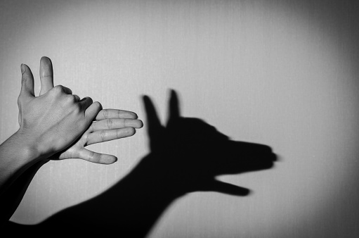 Shadow theatre with hands showing a Dog