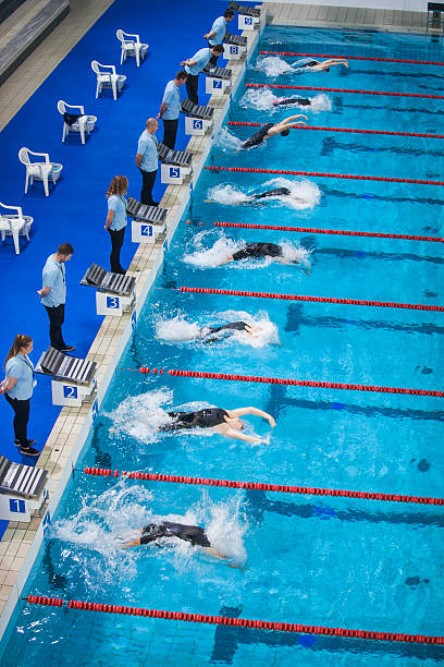 istock Female swimmers in swimming pool 519657356