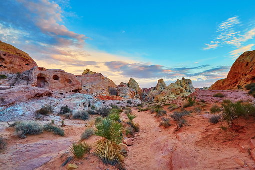 Scenic landscape with multicolored sedimentary rock formations during sunset in Valley of the Fire national park in Nevada, USA