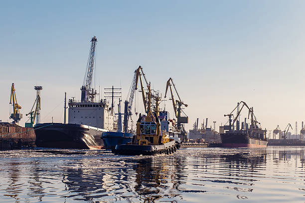 istock Cargo crane, bulk cargo ships and tugboat in port 519659522