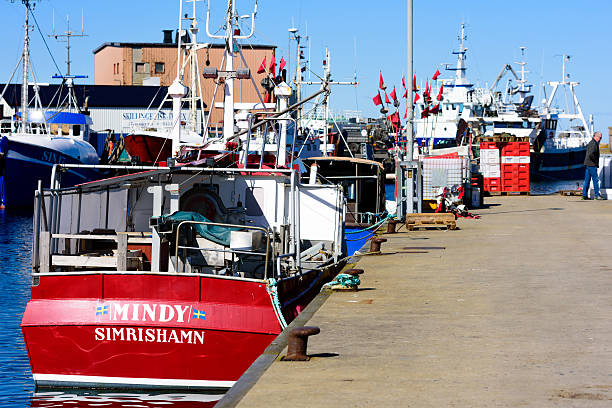 Simrishamn, Sweden - April 1, 2016: Moored boats in the Simrishamn fishing harbor on a fine spring day.