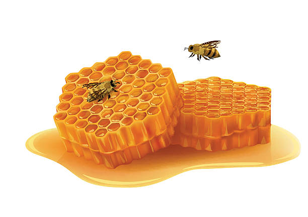 ilustrações de stock, clip art, desenhos animados e ícones de favo de mel com abelhas sobre fundo branco - activity animal bee beeswax