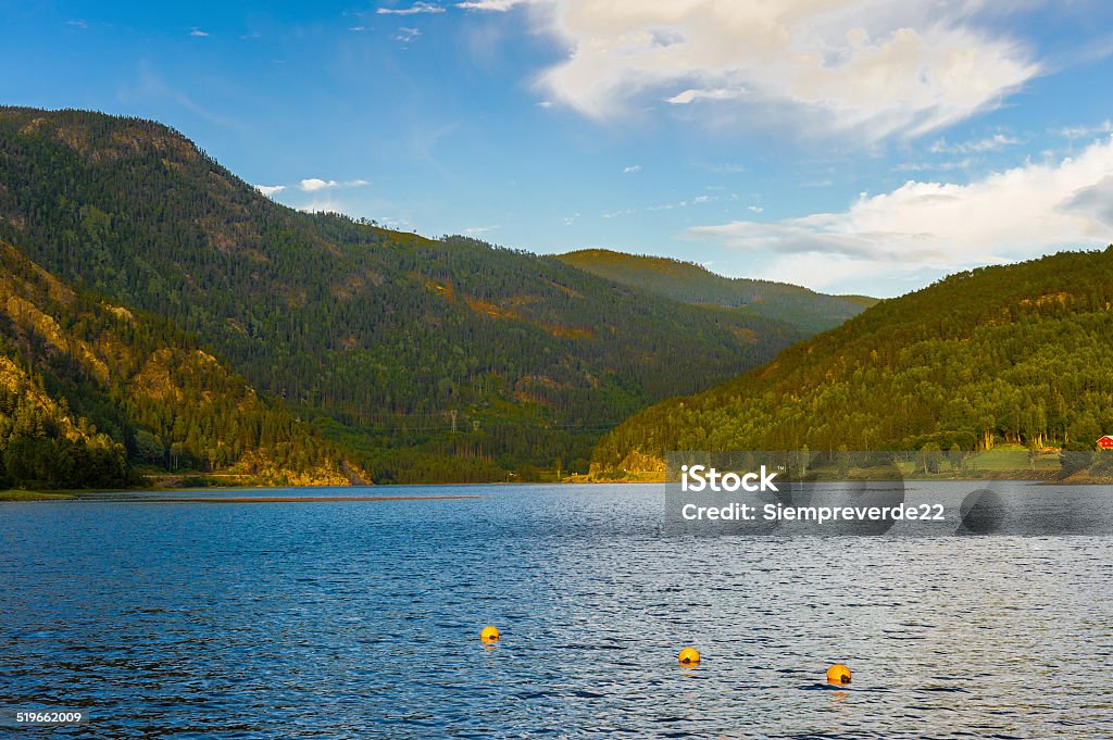 Nature of Norway Norwegian fjords Adventure Stock Photo