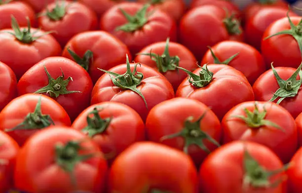 Photo of Tomatos background