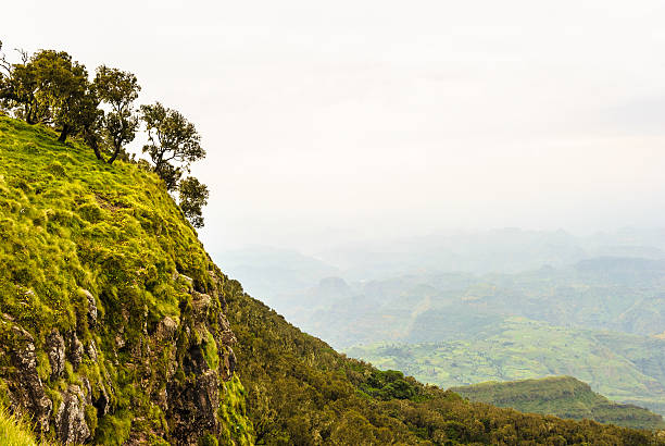 istock Nature of Ethiopia 519663383