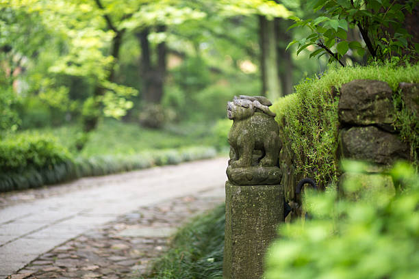 istock Little alley in Hangzhou 519663605