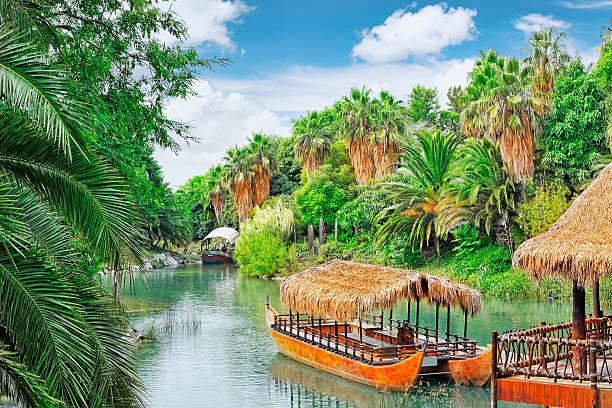 istock Beautiful landscape of tropical jungle. 519665817