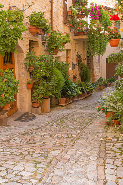 istock Flower street in Spello (Umbria, Italy) 519665871