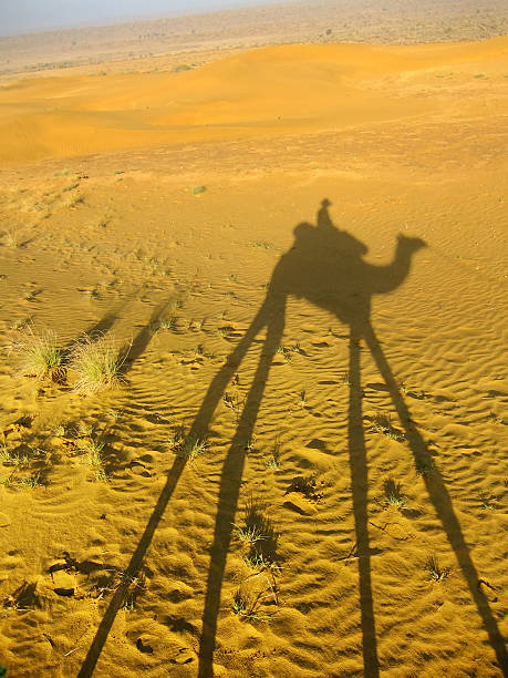 istock Shadow of a camel with tourist on a sand dunes 519666759
